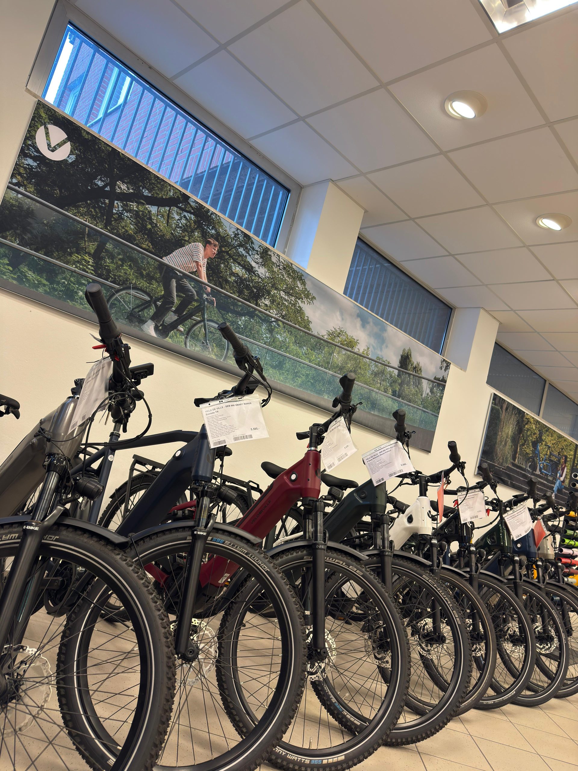 433ba89e-62ba-477b-b574-e53be3e4b616