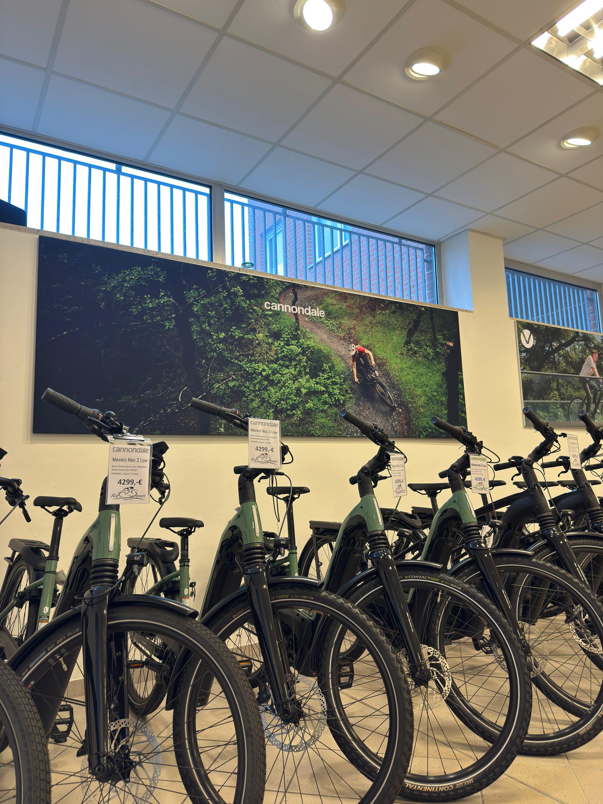 77938781-3c3a-46fd-b9a4-10f5cdadda2c